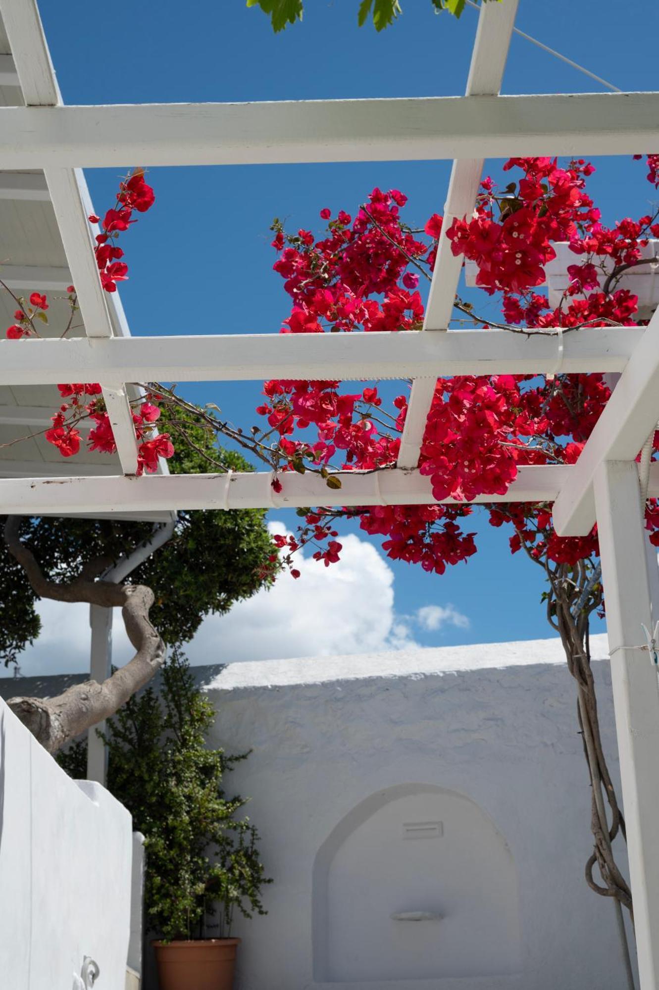 Boutique Di Vito Hotel Mykonos Town ภายนอก รูปภาพ
